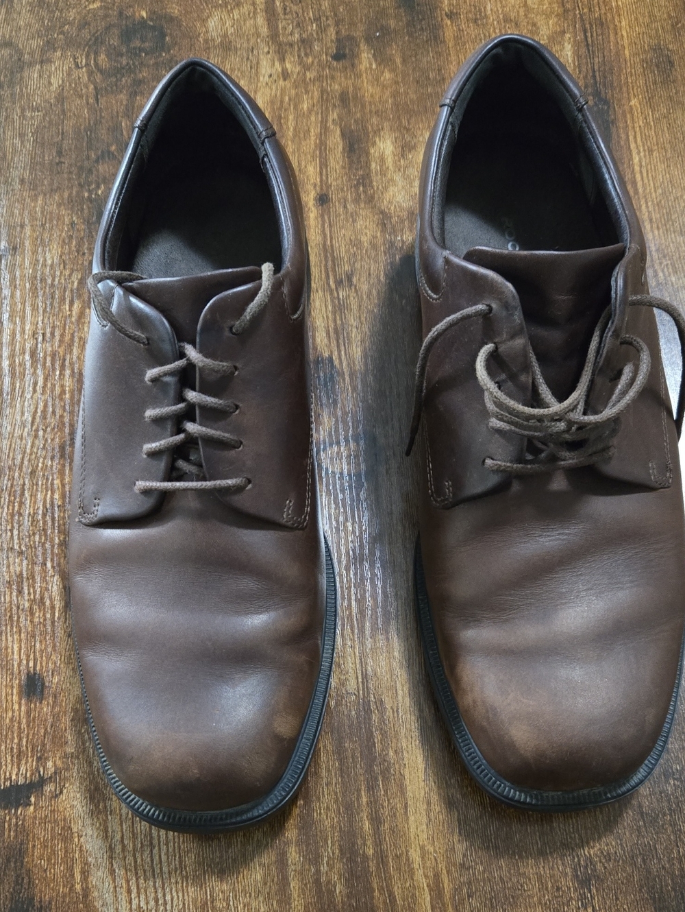 Rockport Men's Chocolate Brown Leather Plain Toe Oxford Dress Shoes APMZ2013C